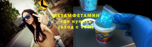 прущие грибы Медногорск