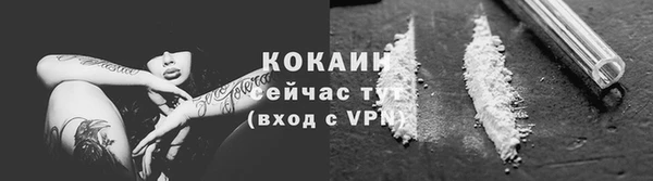 ГАЛЛЮЦИНОГЕННЫЕ ГРИБЫ Белокуриха