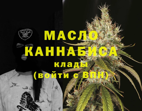 spice Богородск