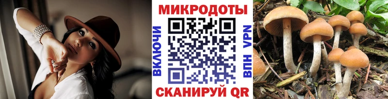 сколько стоит Боровичи кракен как зайти Галлюциногенные грибы MAGIC MUSHROOMS